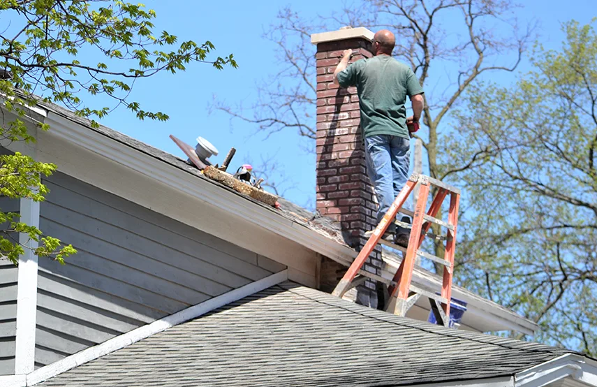 Chimney & Fireplace Inspections Services in Mineola, NY